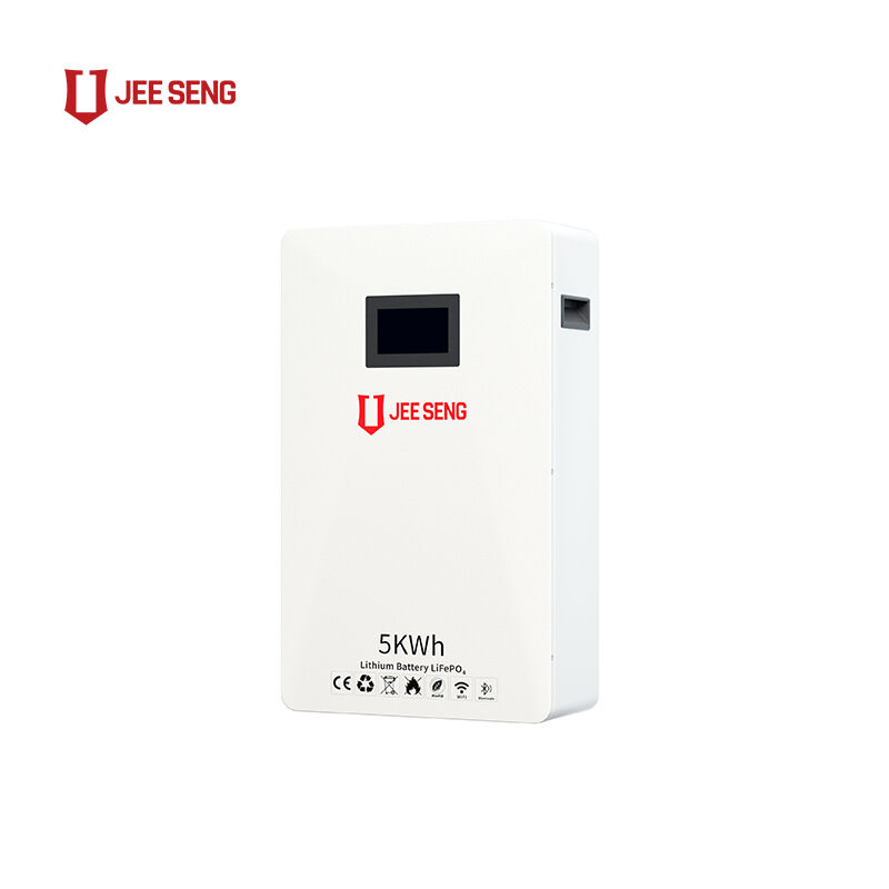 Sistema de almacenamiento de energía de 5KWh en el hogar montado en la pared con tecnología BMS avanzada para el sistema de energía solar
