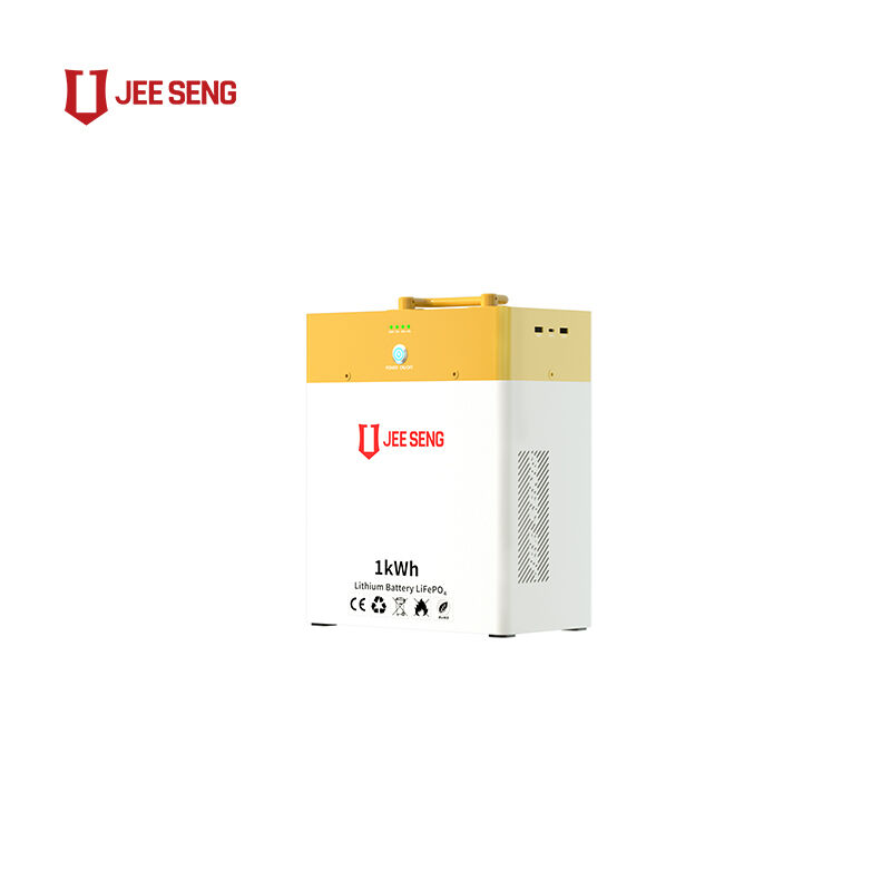 Nuevo diseño 1KWH Potencia portátil almacenamiento de energía batería de litio gran banco de energía fácil de usar